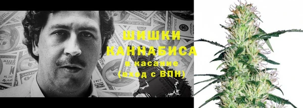 стаф Ладушкин