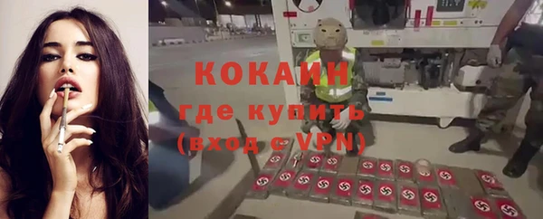 стаф Ладушкин