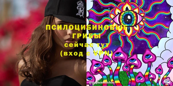 Альфа ПВП Лабытнанги