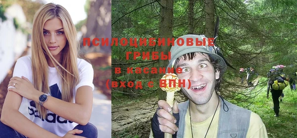 твердый Лагань