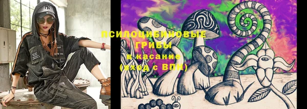 Альфа ПВП Лабытнанги