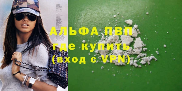 стаф Ладушкин