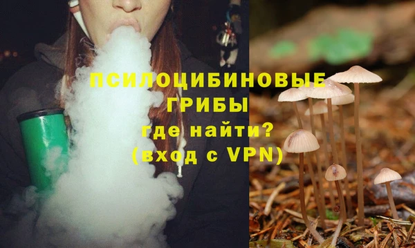 Альфа ПВП Лабытнанги