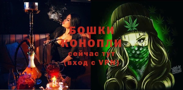 стаф Ладушкин