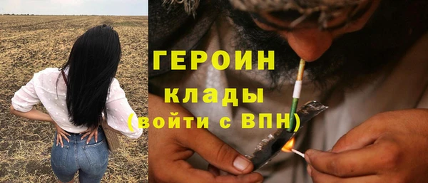 твердый Лагань