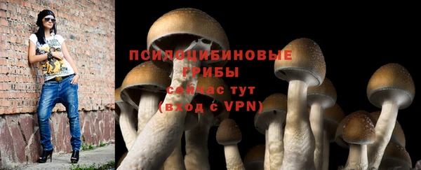 стаф Ладушкин