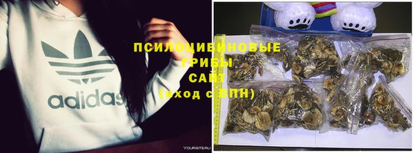 твердый Лагань
